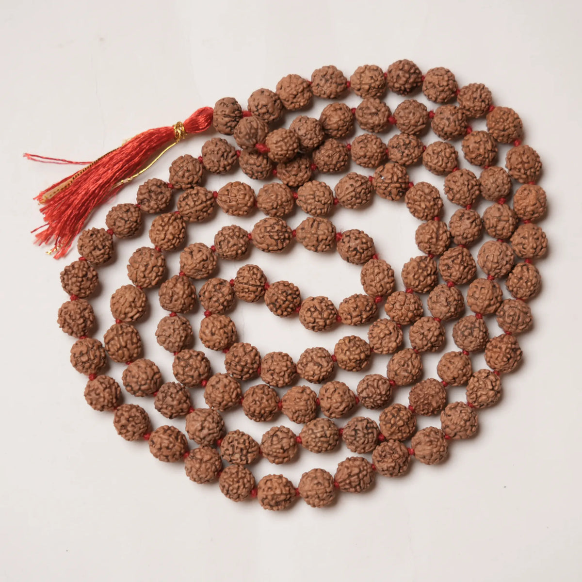 Maha Siddhi 5 Mukhi Rudraksha Mala